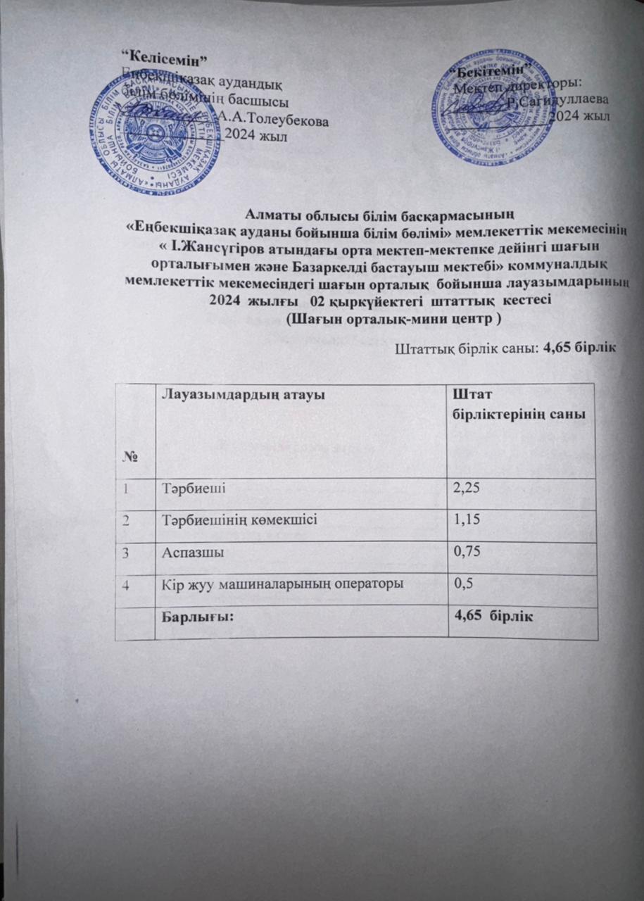 Штаттық кесте мини-центр, 2024-2025